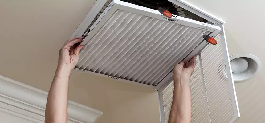 Preventive Cockroach-Proofing for Ducts in Drexel Heights