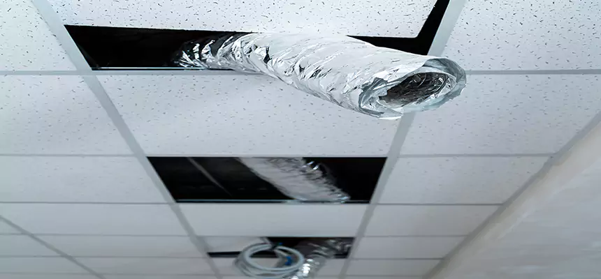 Affordable HVAC Sanitizing After Pest Removal in Drexel Heights