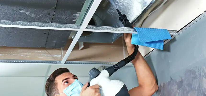 Our Air Duct Rodent Removal Services in Drexel Heights, AZ