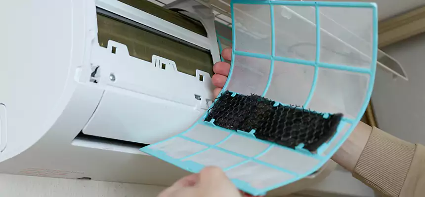 Gentle Ductwork Odor-Control Pet Dander Duct Cleaning in Drexel Heights, AZ