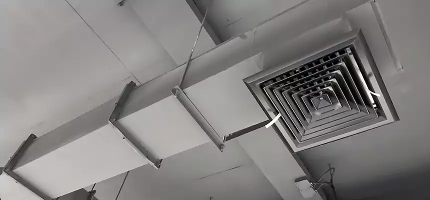 Our Rodent Droppings In Vents Services in Drexel Heights, AZ