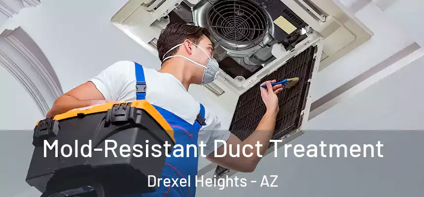 Mold-Resistant Duct Treatment Drexel Heights - AZ