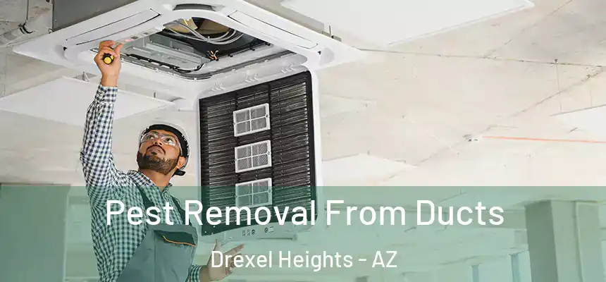 Pest Removal From Ducts Drexel Heights - AZ