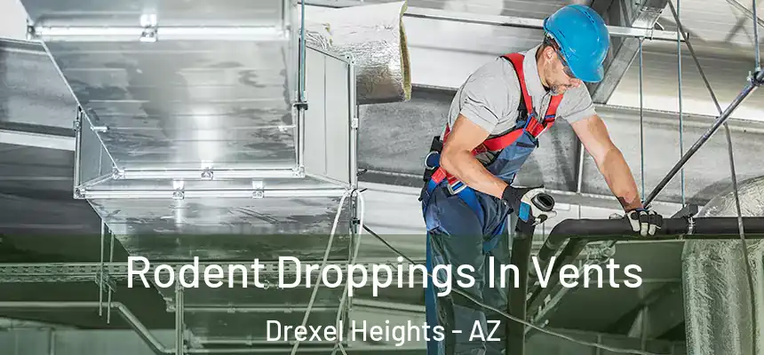  Rodent Droppings In Vents Drexel Heights - AZ