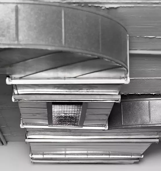 Professional Air Duct Pet Hair Removal in Drexel Heights, AZ